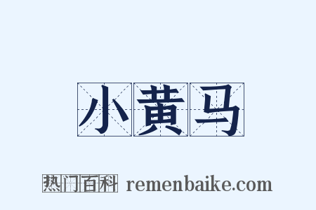 小黄马是什么意思的图片